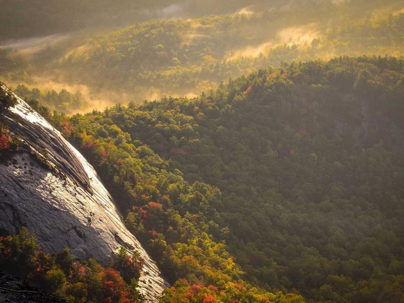 CorvelAxenLyr Mendoza